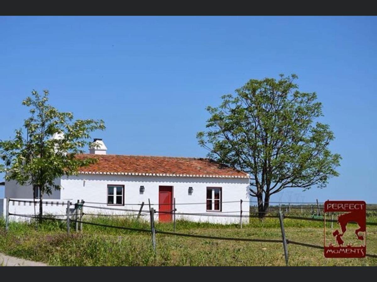 Monte Da Boavista - Country Family House Villa Alter do Chão Buitenkant foto