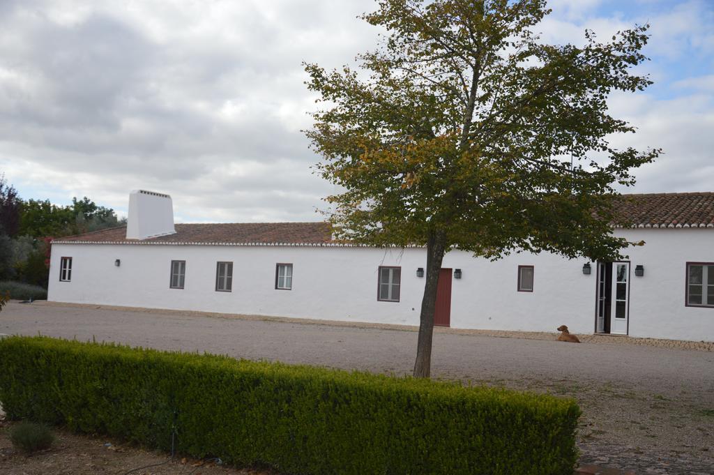 Monte Da Boavista - Country Family House Villa Alter do Chão Buitenkant foto